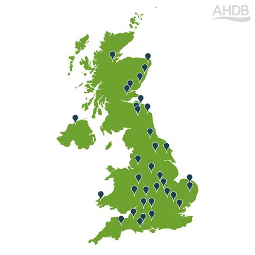 UK map showing the distribution of Arable Business Groups in 2024